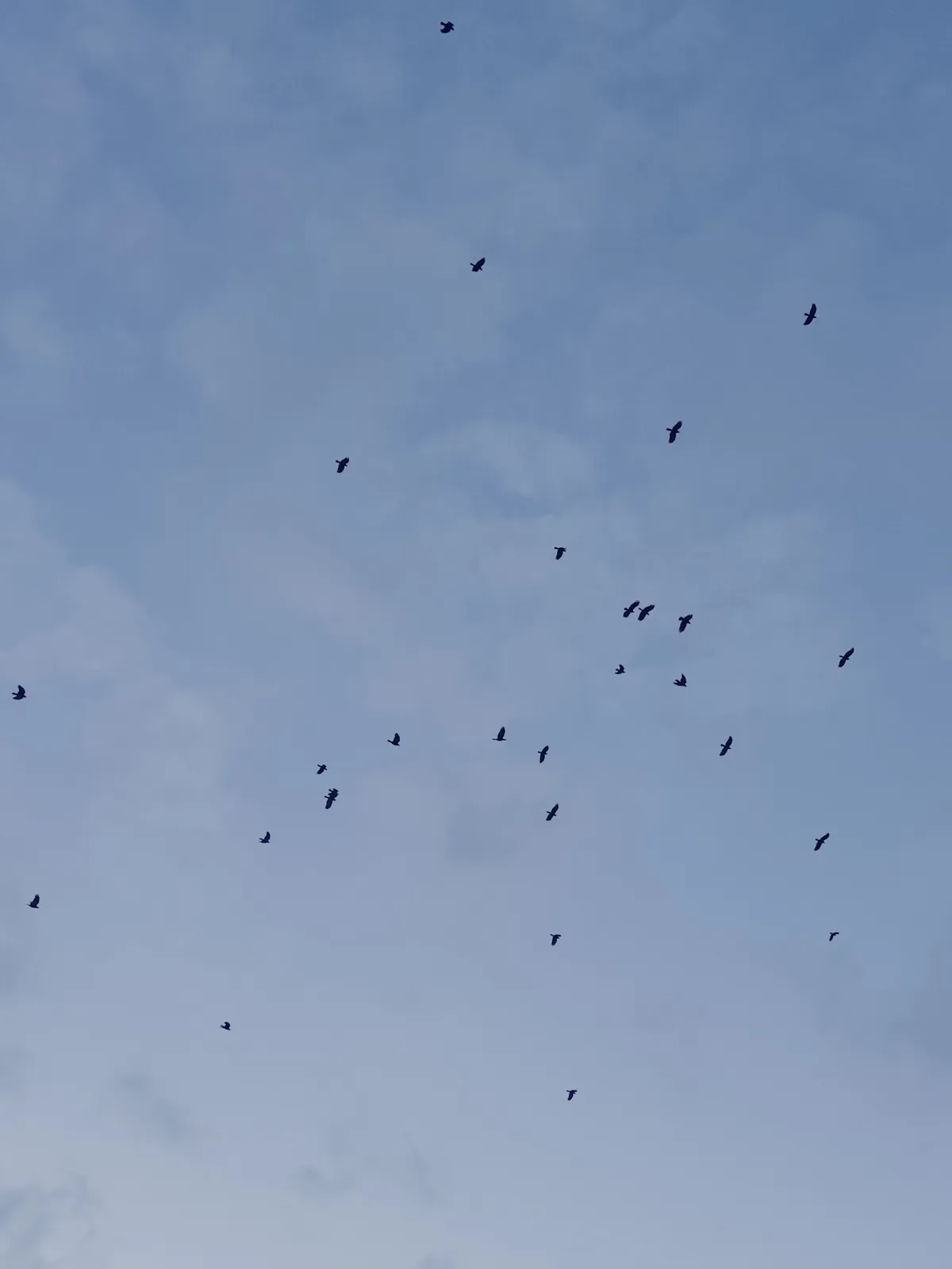 zerocam_15