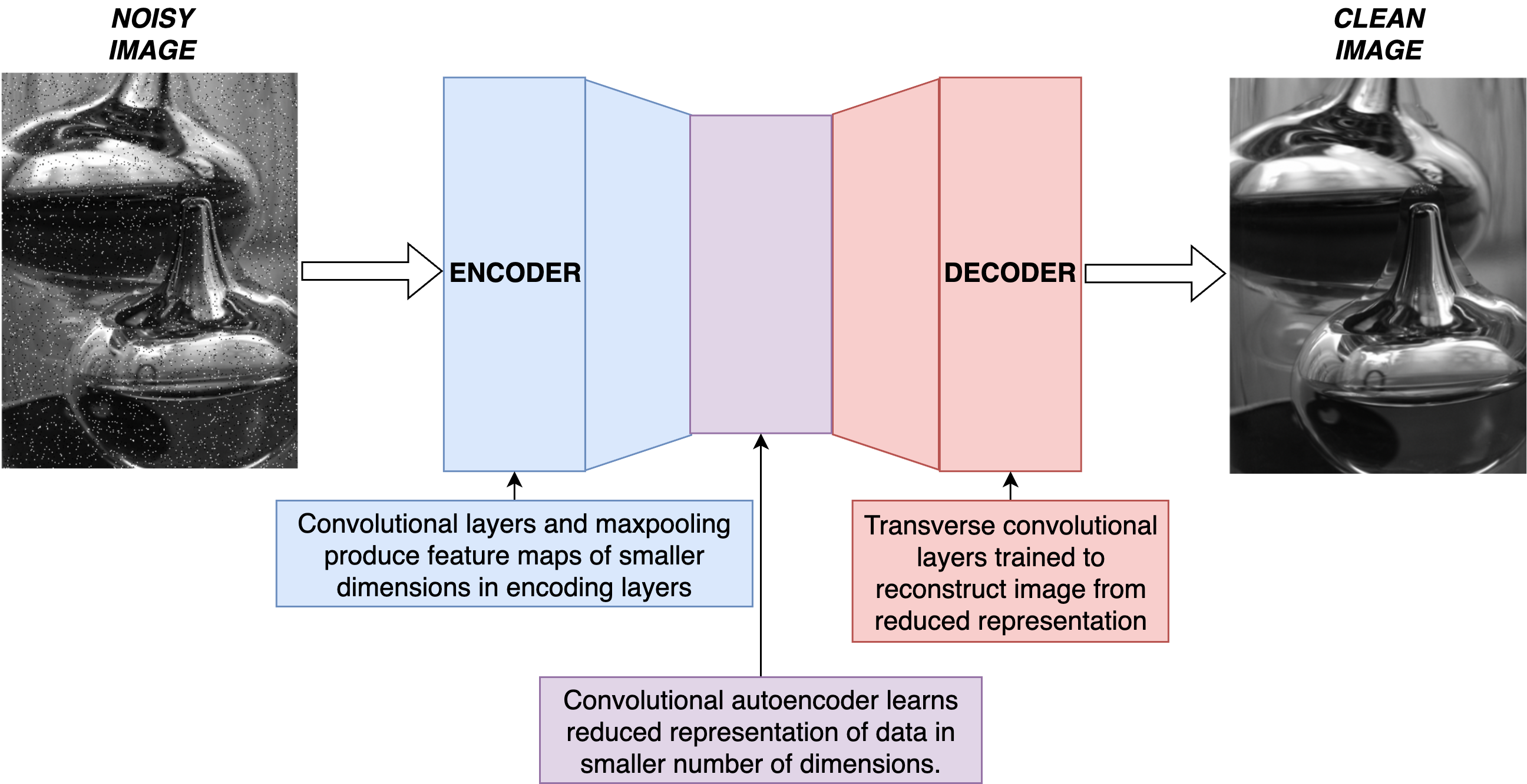 denoiser
