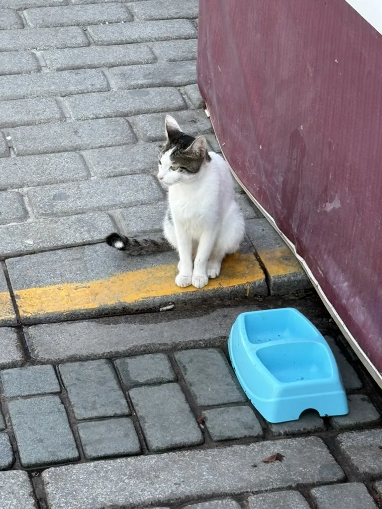istanbul1
