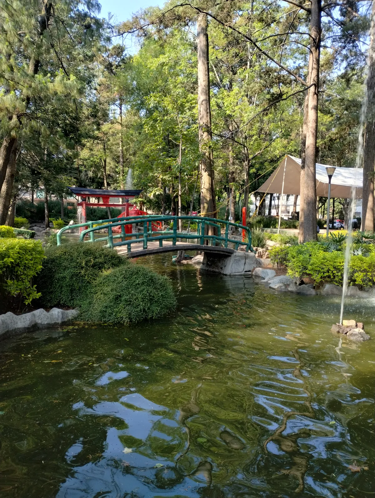 IMG_20260517_084025797_HDR