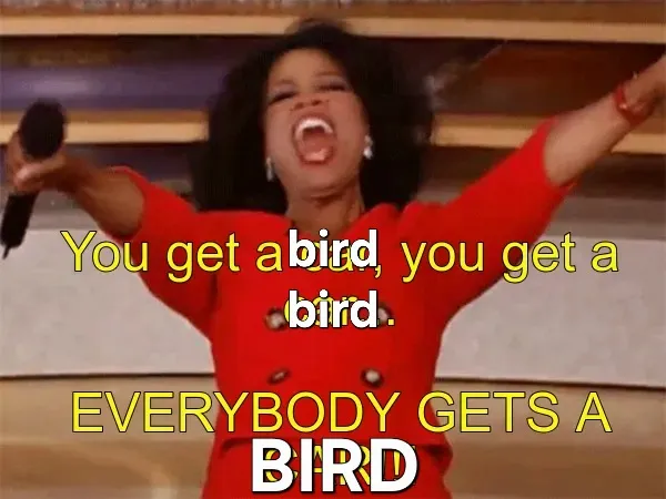 Memetic image of Oprah yelling back during the hayday of her show. Most of the text is in yellow and reads You get a bird, you get a bird. EVERYONE GETS A BIRD The text that is used for bird is white and poorly overlaps on top of yellow text that originally reads car
