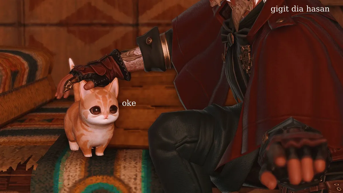 2025-12-09 16-29-01 ipsusuGameplay - Melon ffxiv_dx11