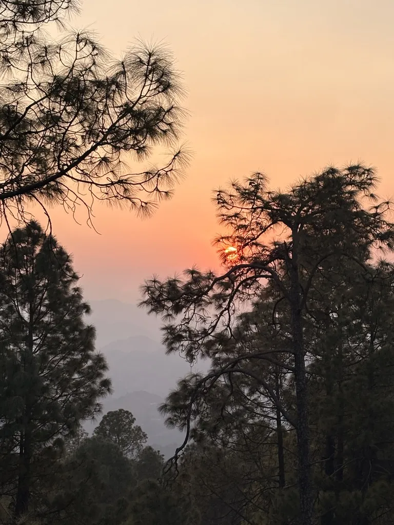 5D6A0D63-AA25-4A25-BCE9-AE1C5DAC228C_1_105_c