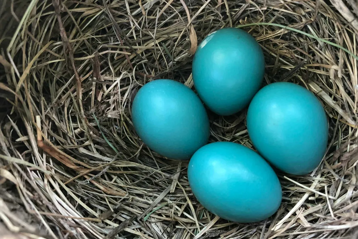 samuel-isaac-83AdeG3iPMk-unsplash-min