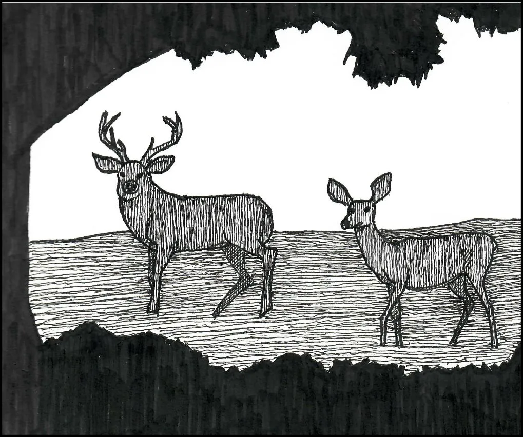 deerframelarge
