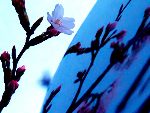 P3260027のコピー