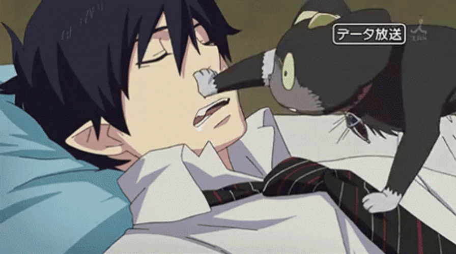 rin-okumura-wakeup