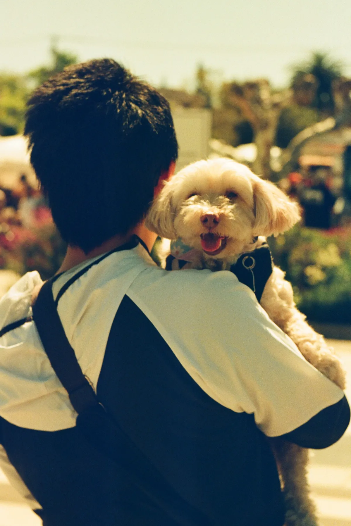 Daisy on Brian's shoulder
