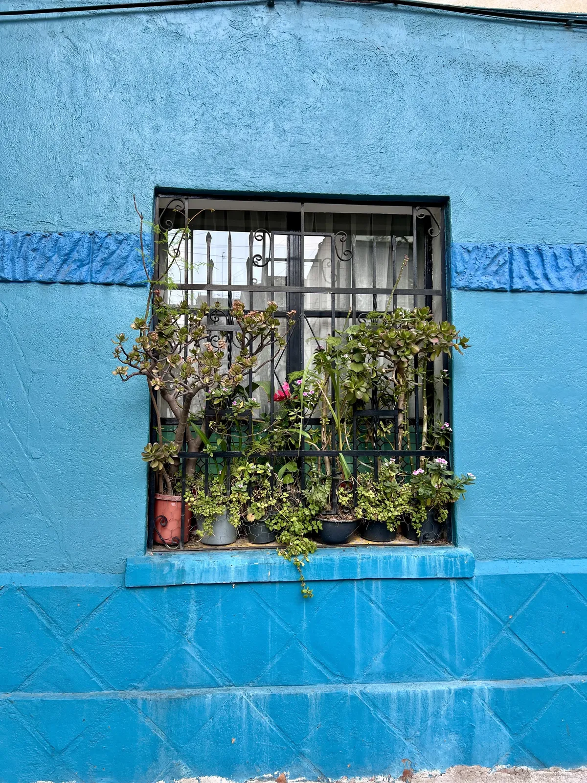 Blueinmexico