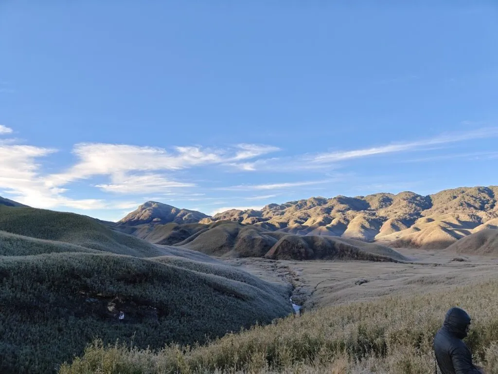Dzukou Valley, adorned with a layer of frost