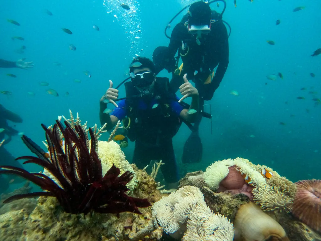 Snaps from the 'underworld'