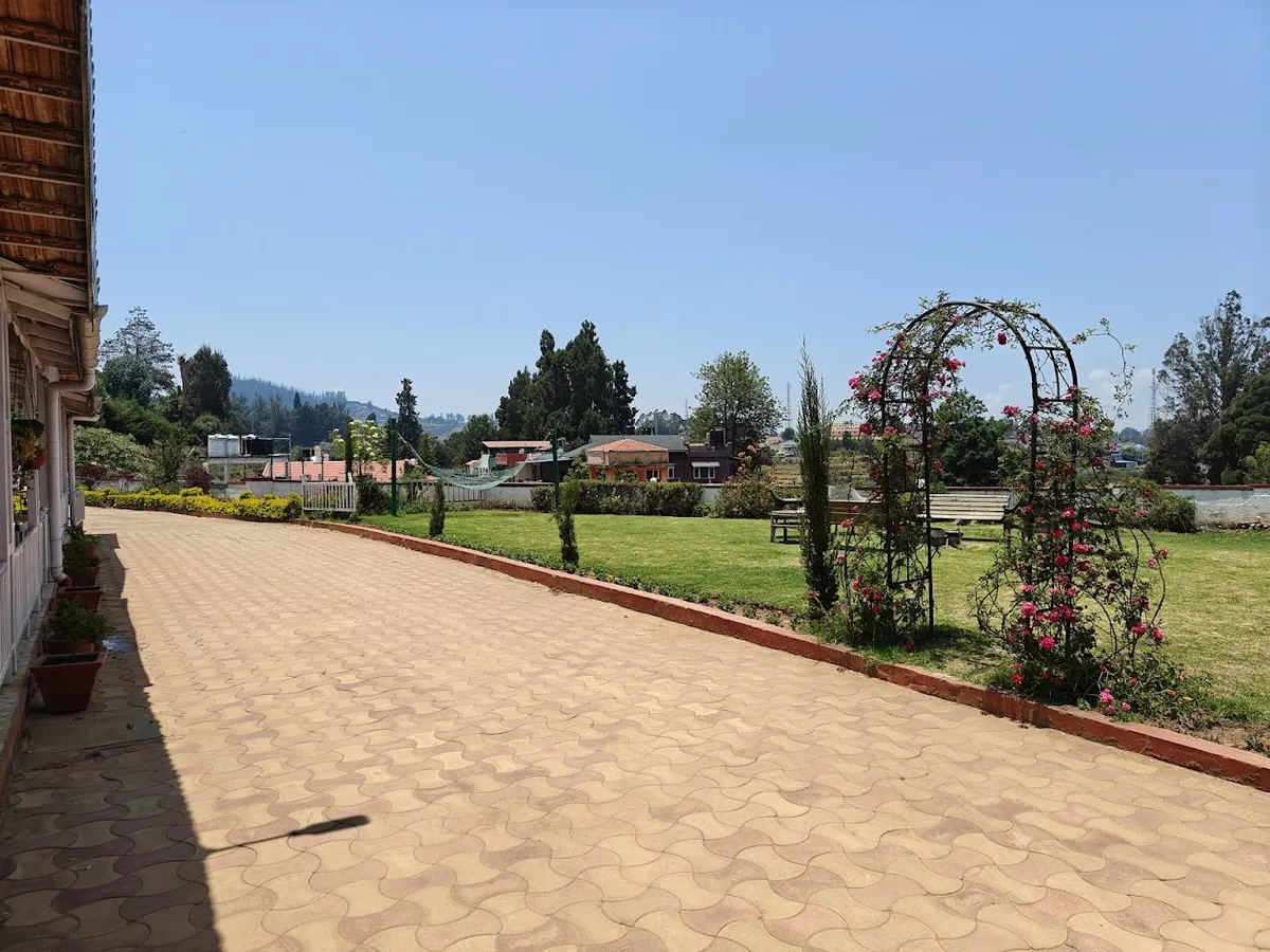 The front yard