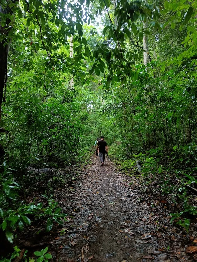 The trek through the forest route