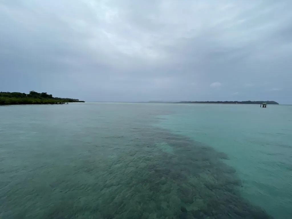 Neil Island's crystal clear waters