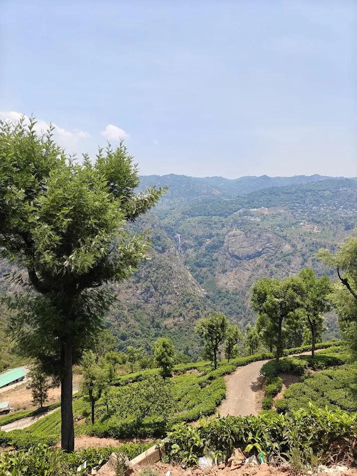 Roadside views