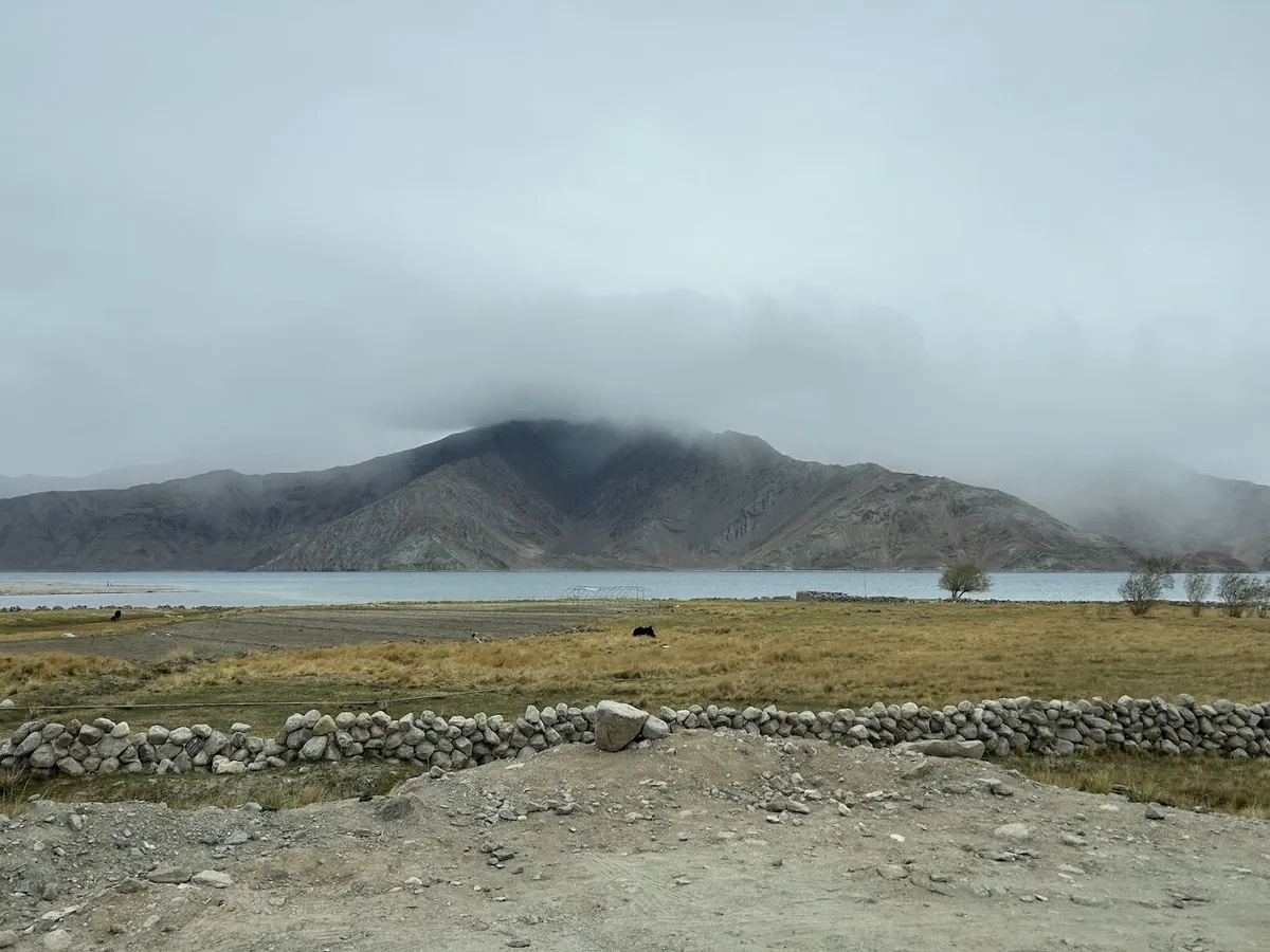 Pangong views