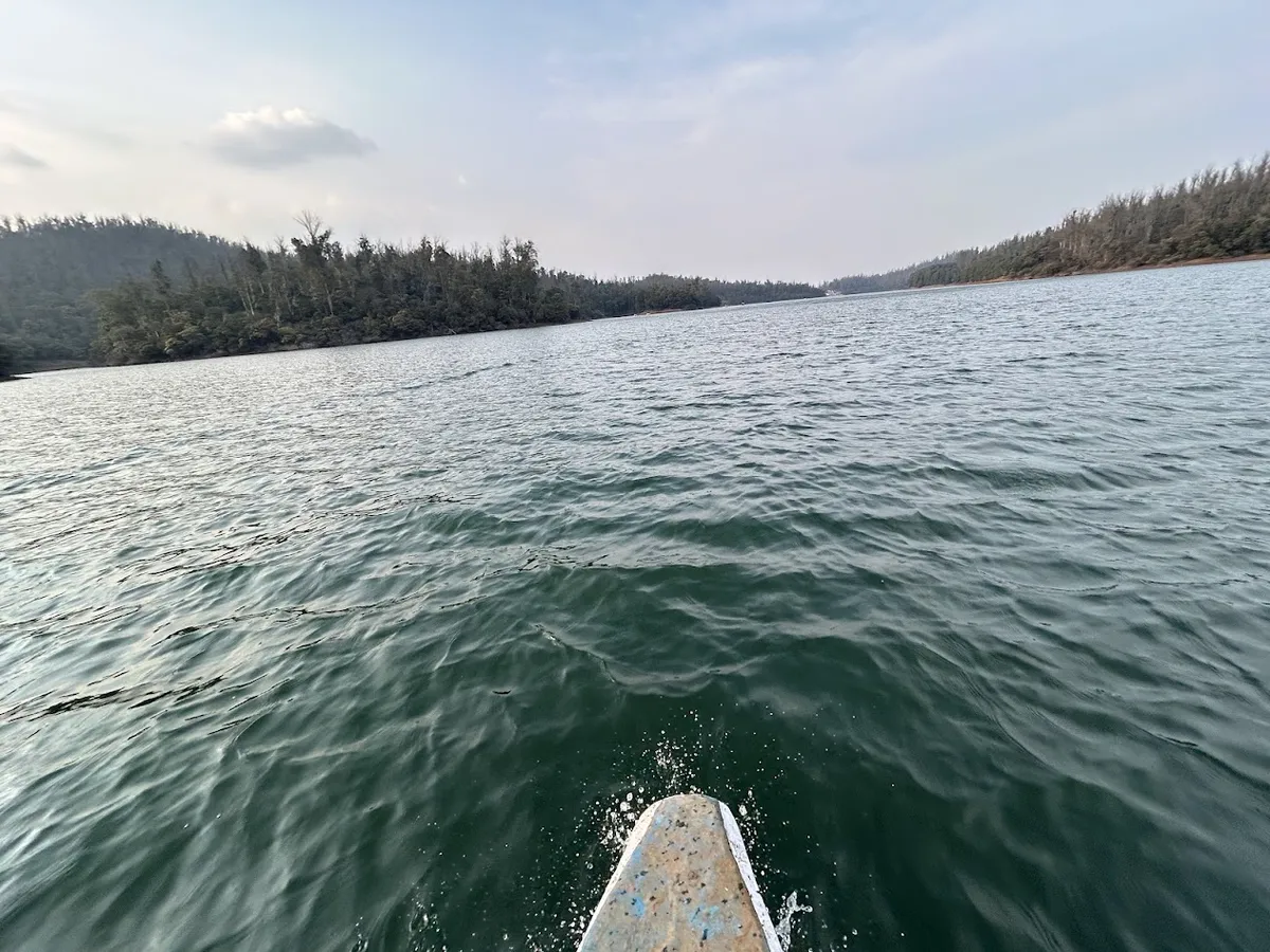 Zooming across the waterfront