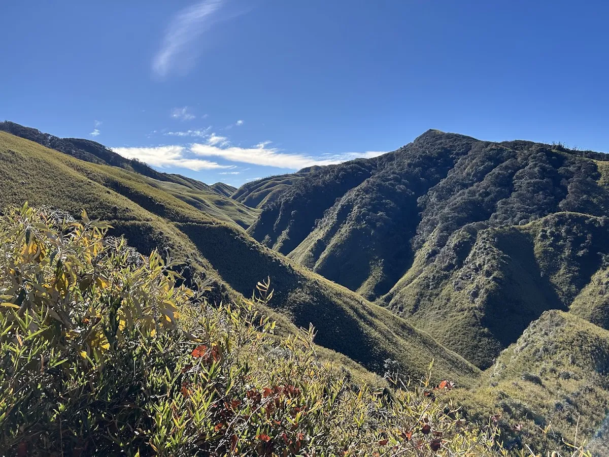 Treading through unending wild bushes with an unbeatable view!