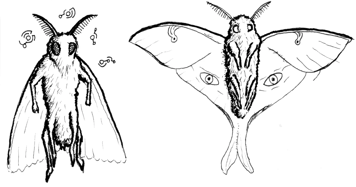 Mothmen_edited