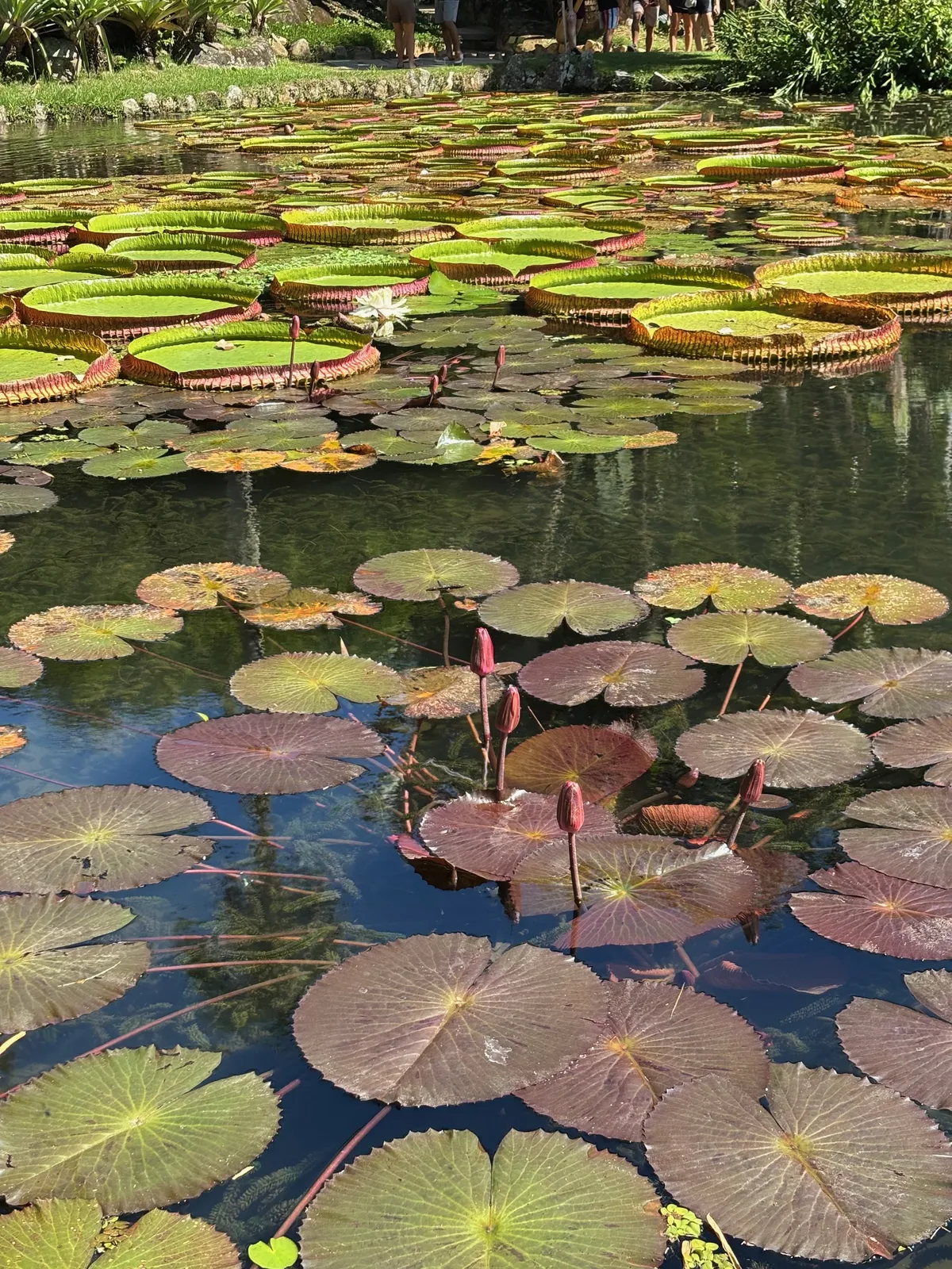 IMG_3379