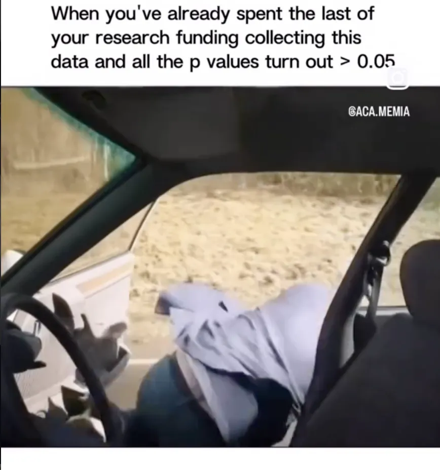 Meme 