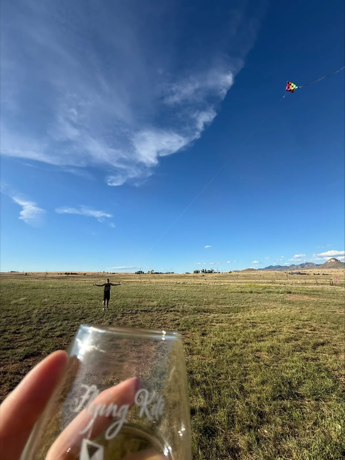 003 flying kite