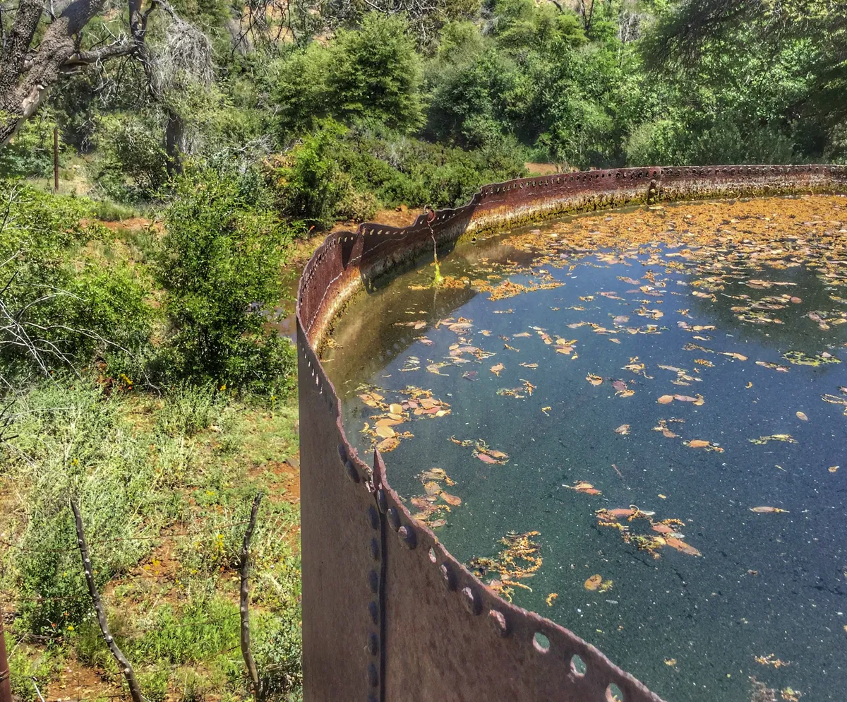 20170505-010400-be533a6d-00b3-4a8a-819b-90063a6c48a8