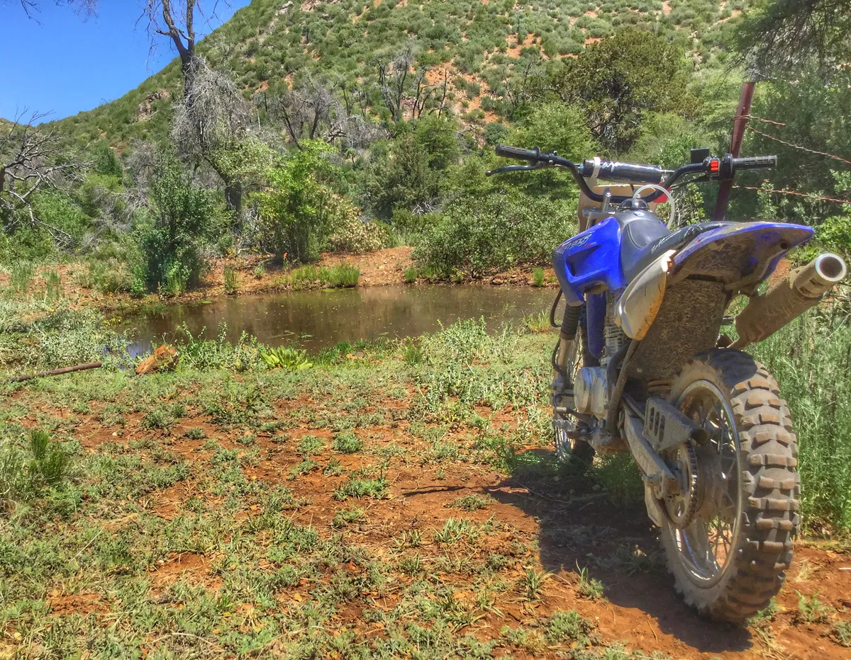 20170505-010800-401b4cfa-0a2b-444d-b0c5-f02b5c5fe7b9