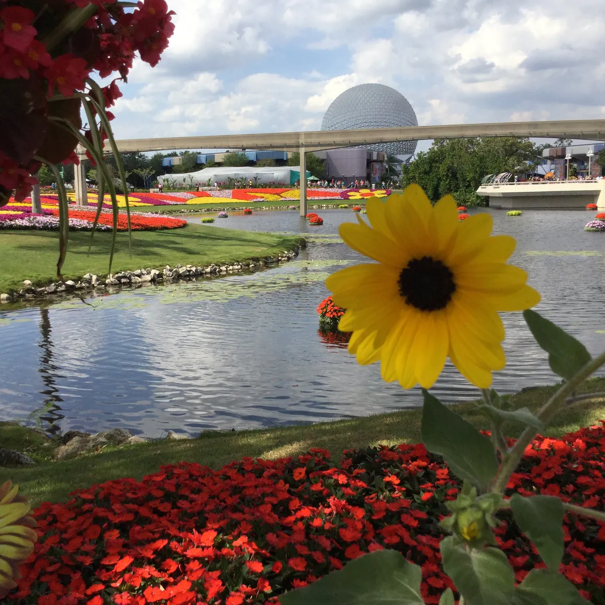 Flowers at Epcot