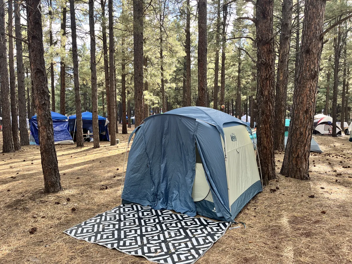 20240922_230853209_iOS