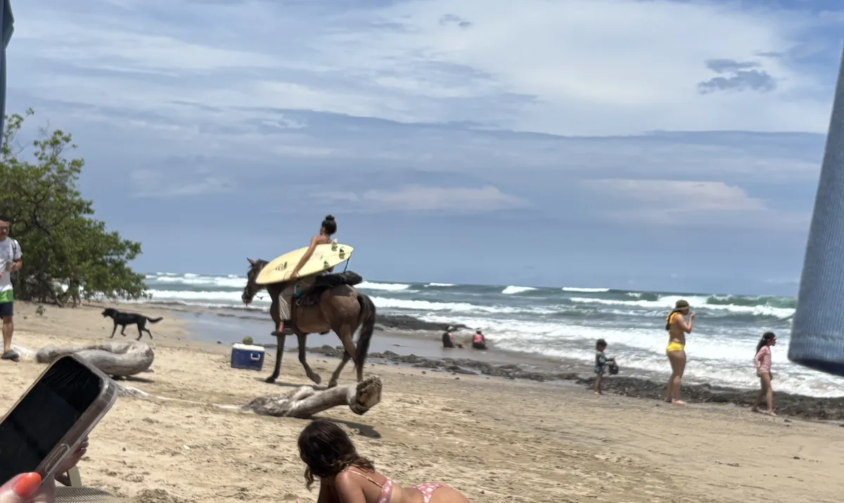 Surfer Woman on a Horse