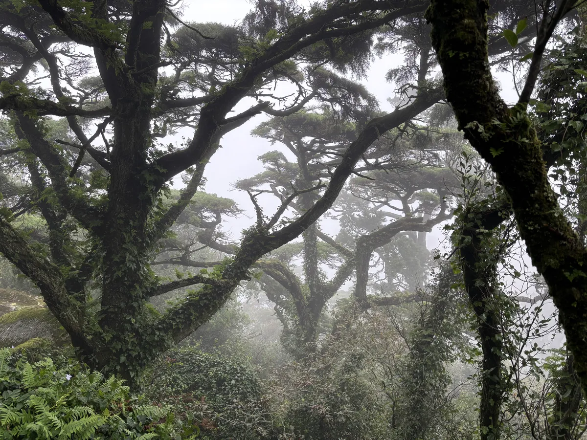 20251022-020800-507c5fc2-fc8c-476e-81bc-d1f727dd6a50