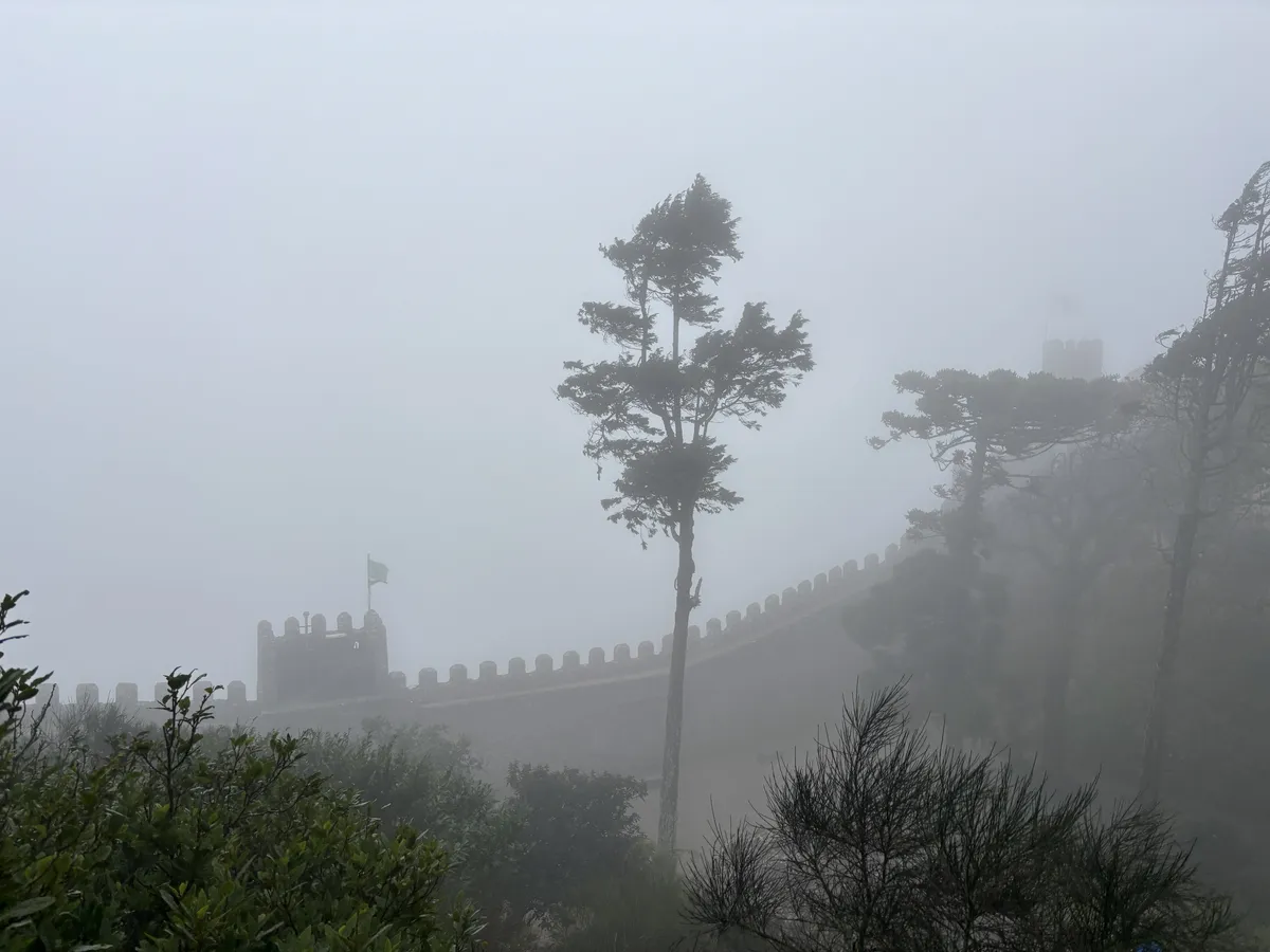 20251022-021300-321f0977-4f4b-43b2-9243-679f480fd72b