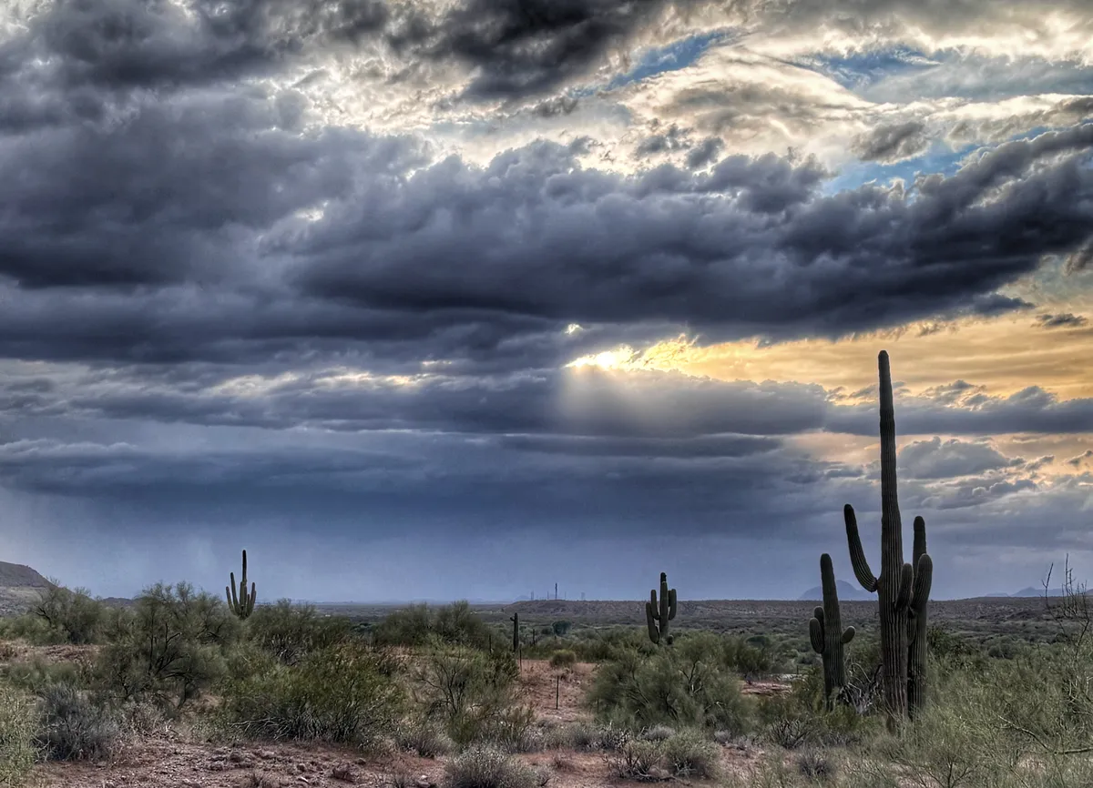 20260309-053900-a283690d-d3c8-4721-8979-763daa42f4fc