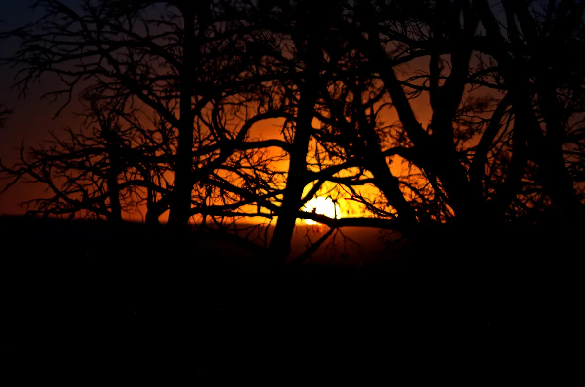 IMG_2094 --
