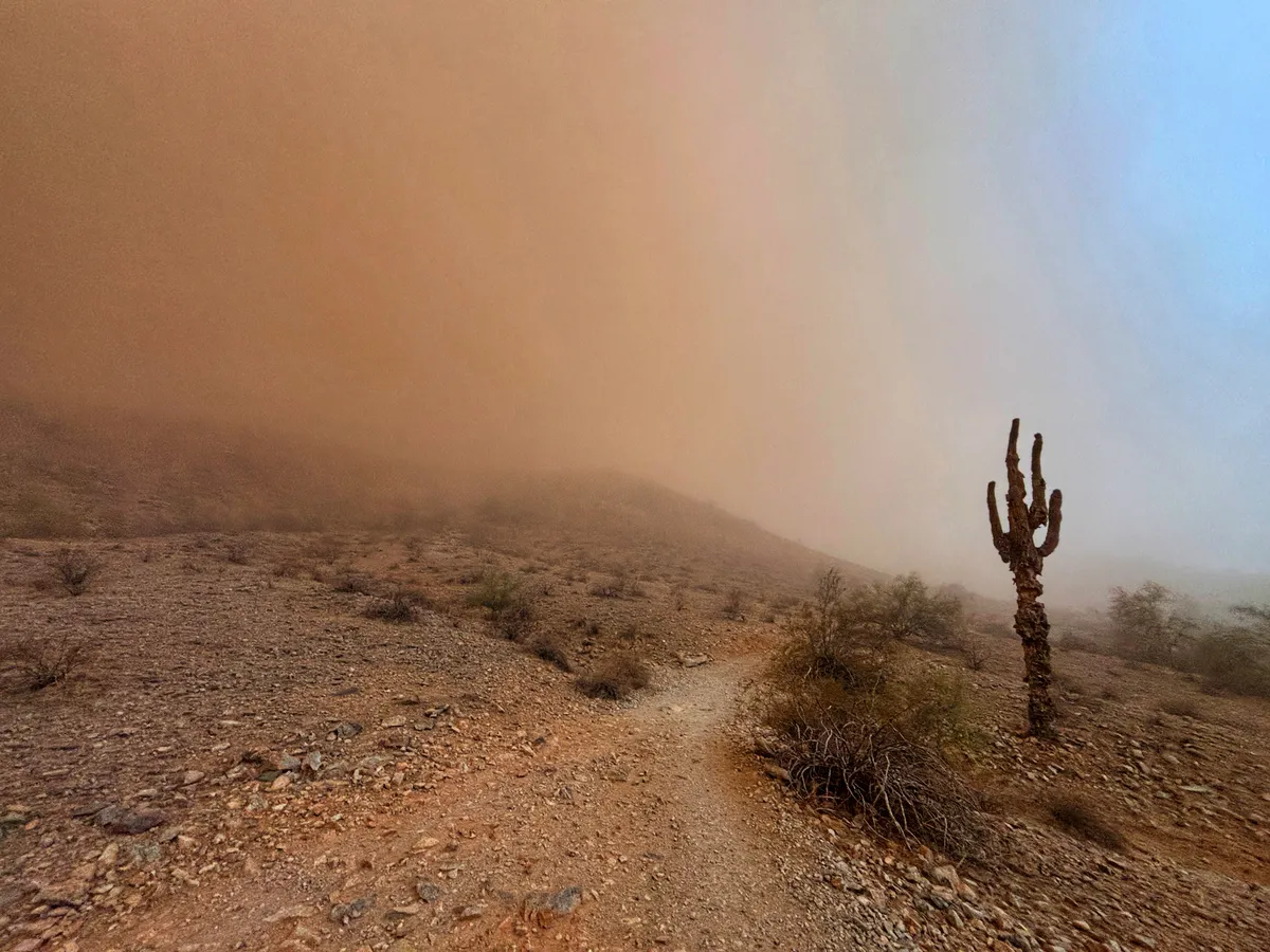 dust