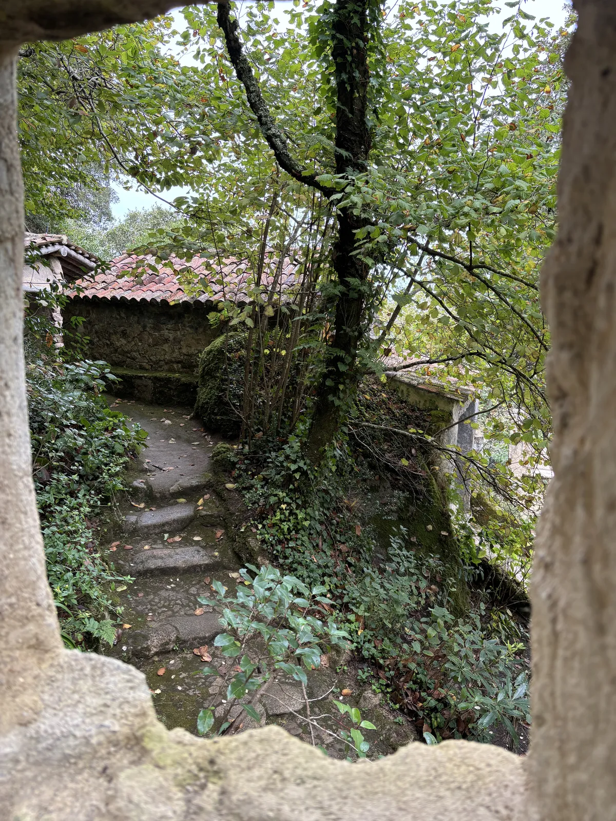 Random Steps to more buildings