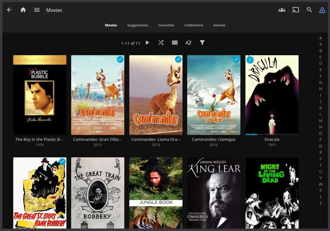 Jellyfin Movies Tab