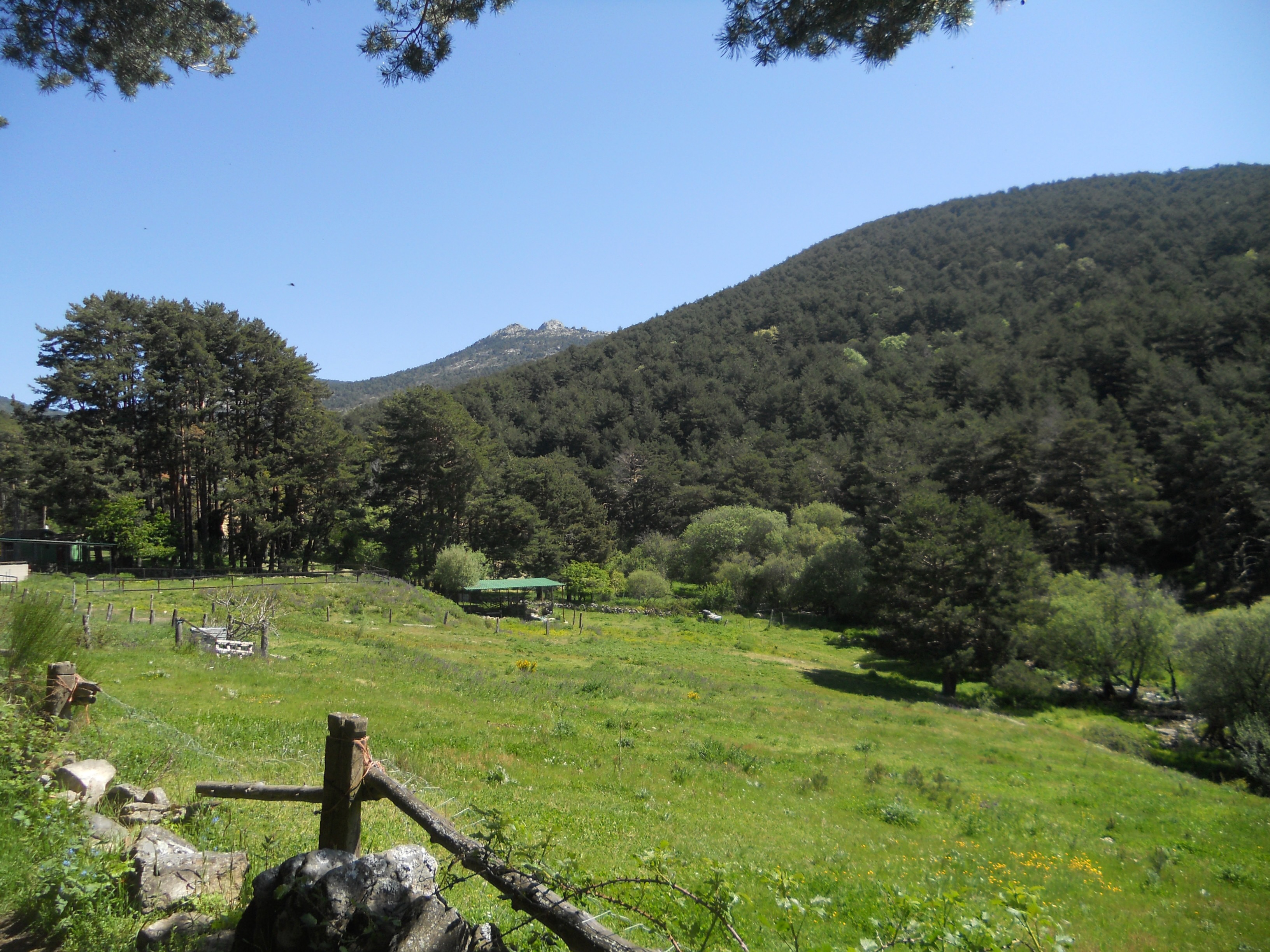 DSCN0275