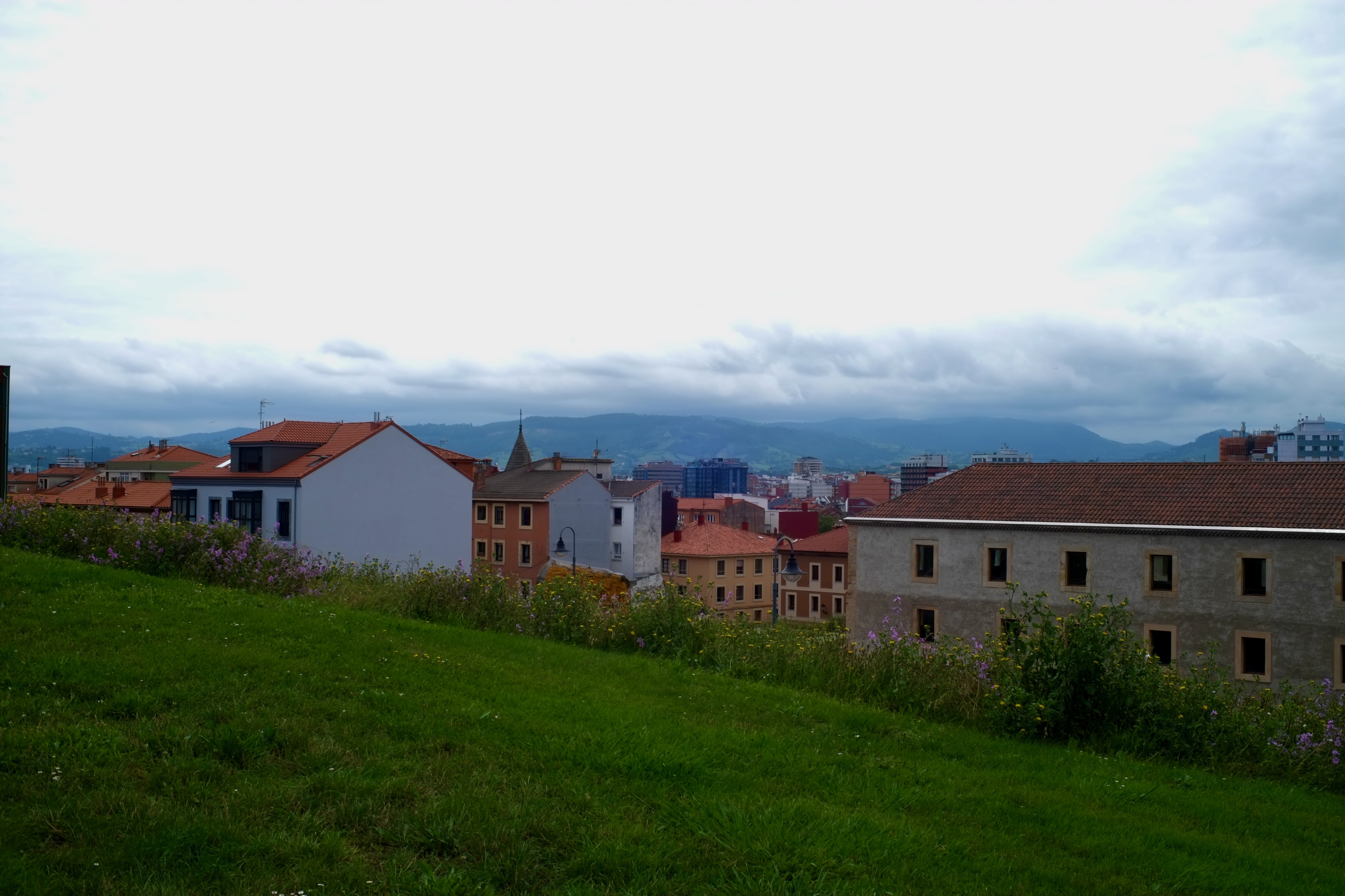 DSCF8884