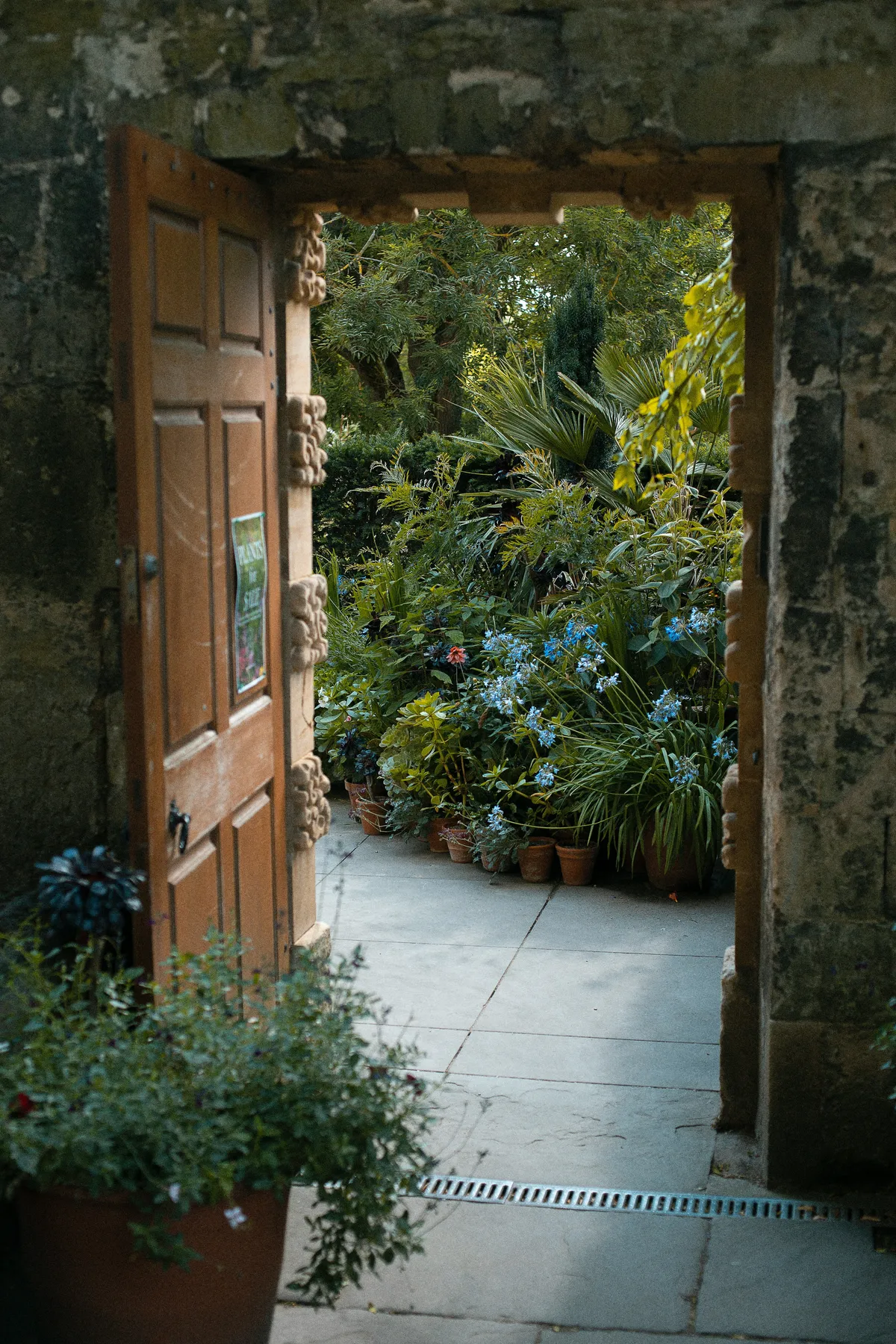An open door in a stone wall looks out into a lush garden with lots of greenery and blooms.