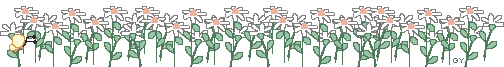 flowerfield