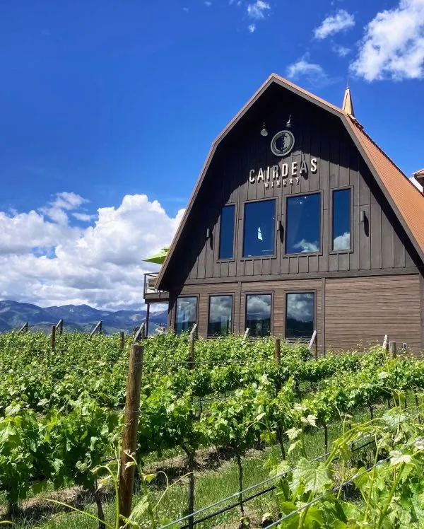 winery2