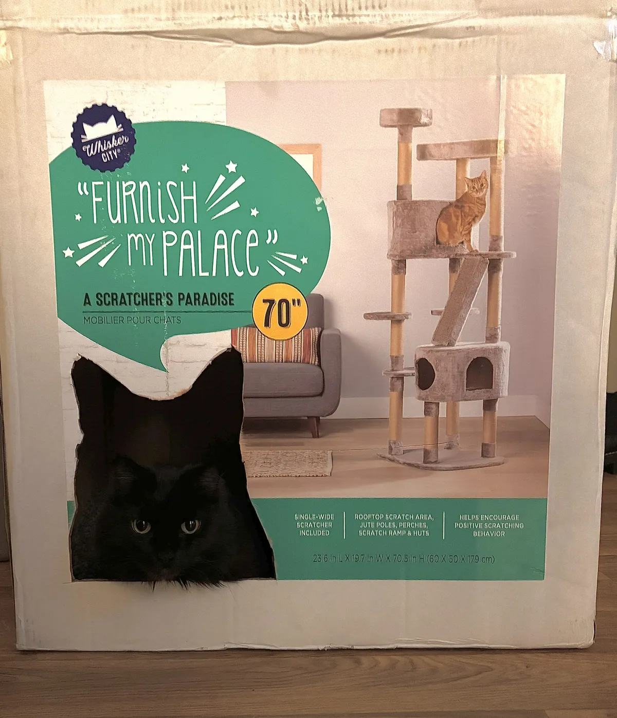 A black cat looks at you from a cat head-shaped cutout in a large box. It blends in with the darkness of the box such that only its eyes are immediately apparent IMG_0837