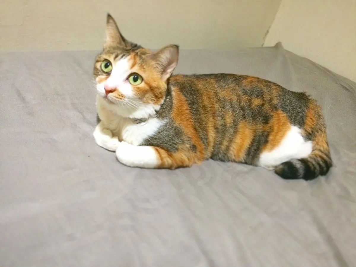 122800531_660963614607971_2393842082193098073_n