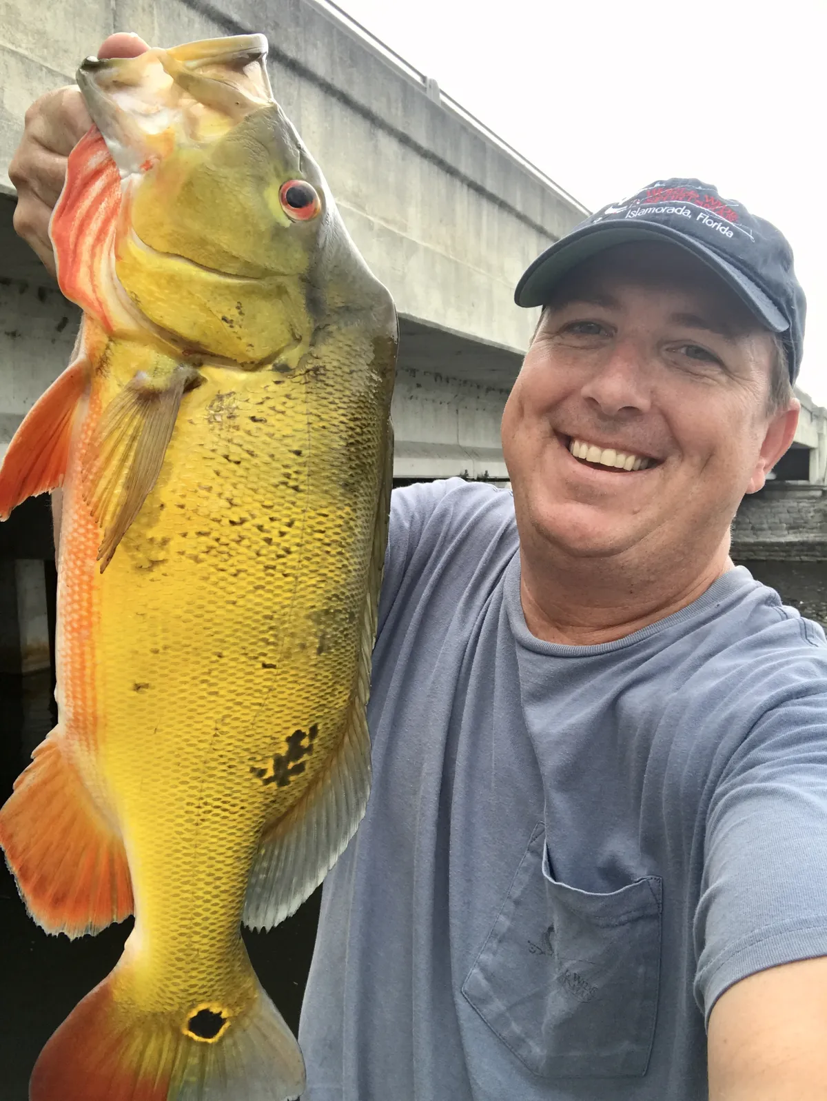 Man holding peacock bass in South Florida