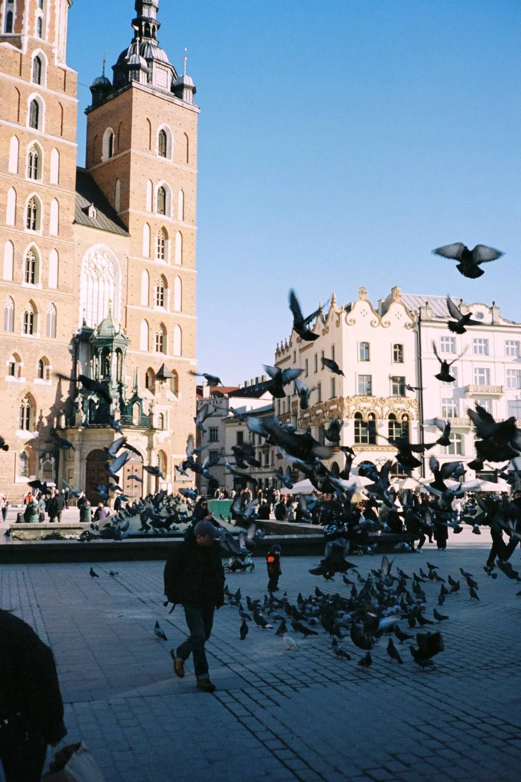 signal-2026-03-11-222705_003