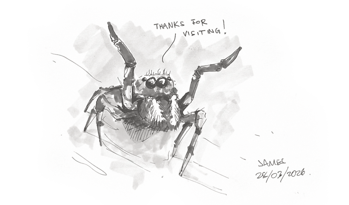 jumping-spider-thanks-sketch