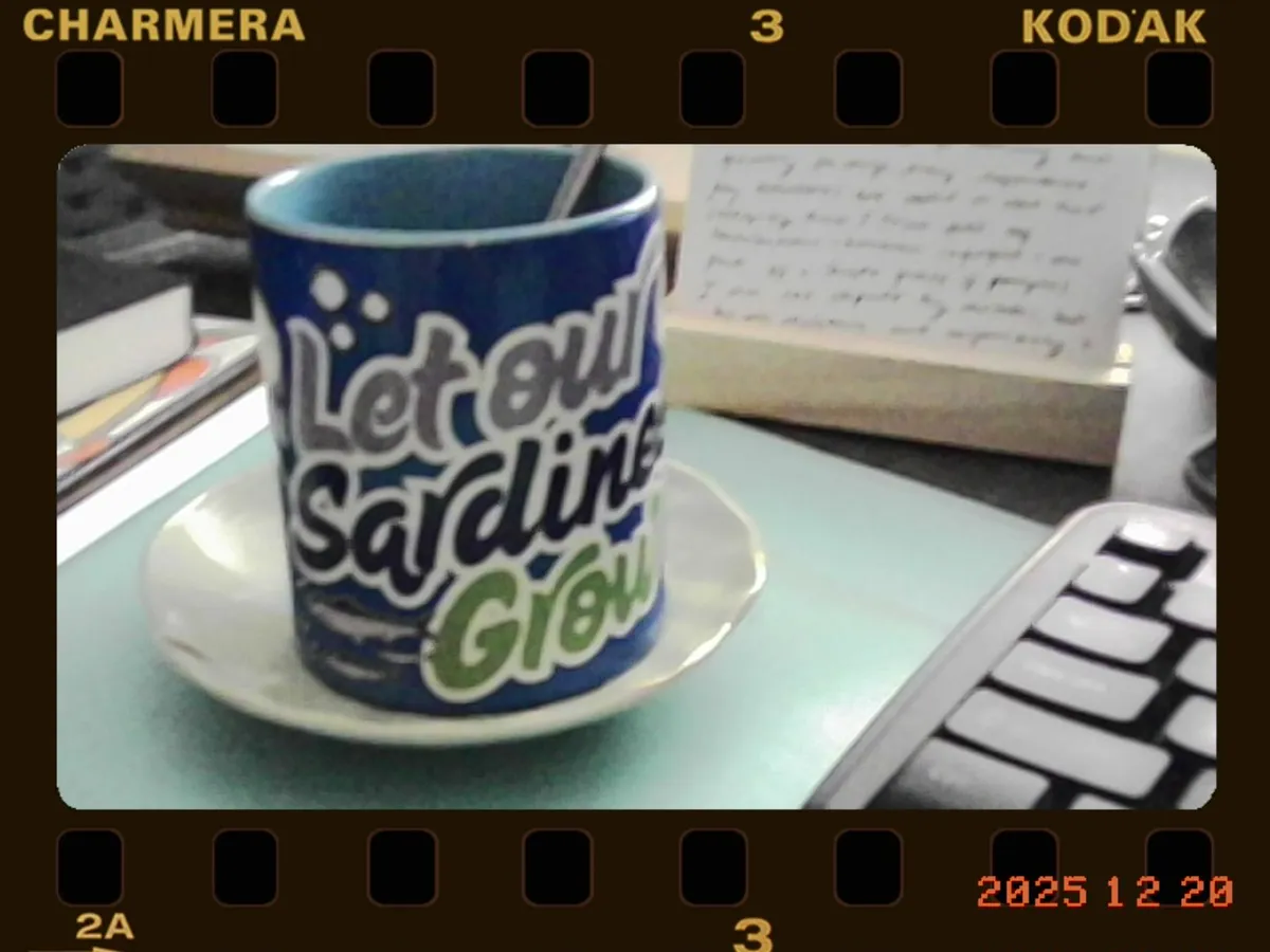 PICT0008