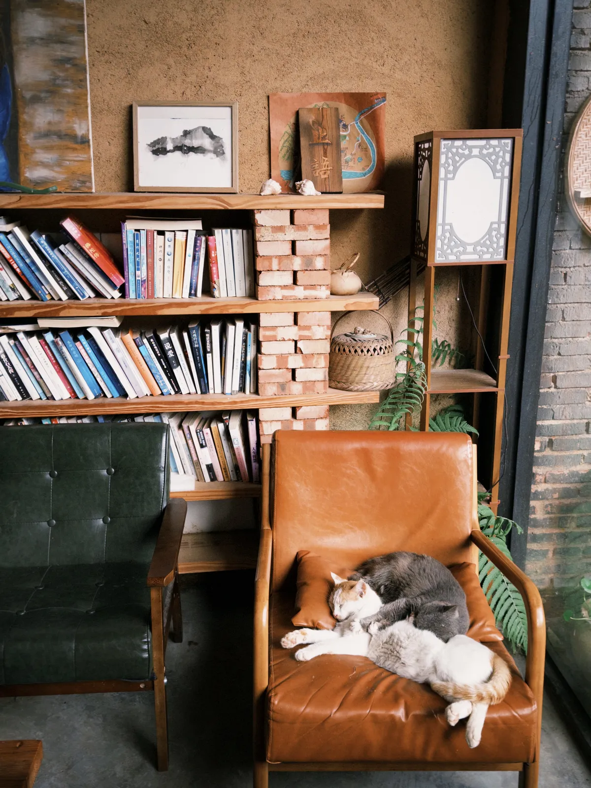 fxn 2025-03-02 084959